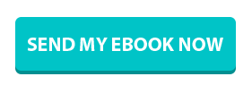 send_my_ebook_now